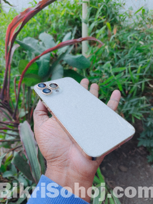 Iphone 13 pro max (256GB)